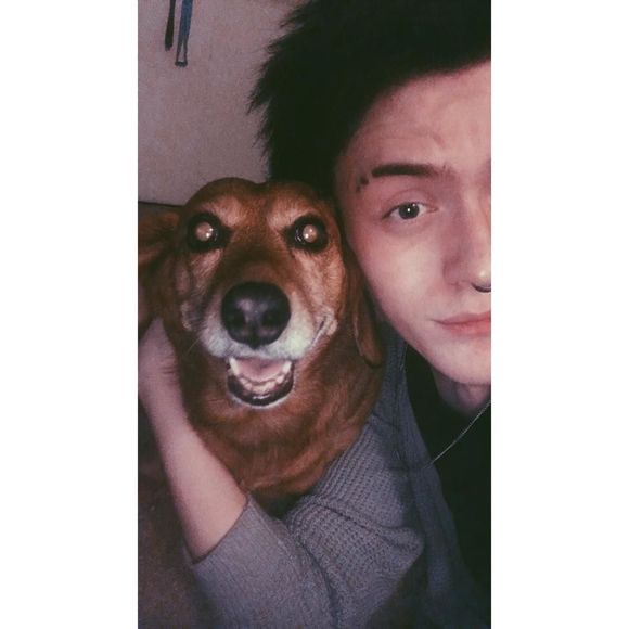 Meet your Posher, Joe - Picture 1 of 1